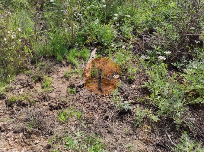 Terreno para Venda em Azinhal Foto 20