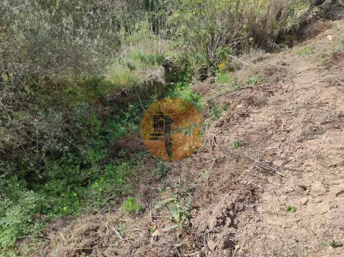 Terreno para Venda em Azinhal Foto 23