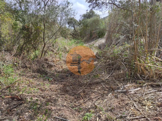 Terreno para Venda em Azinhal Foto 24