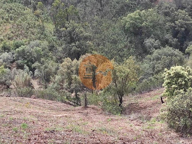 Terreno para Venda em Azinhal Foto 25