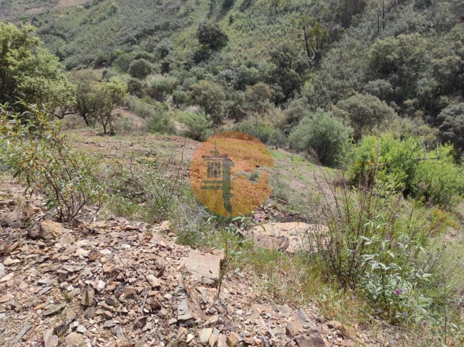 Terreno para Venda em Azinhal Foto 26