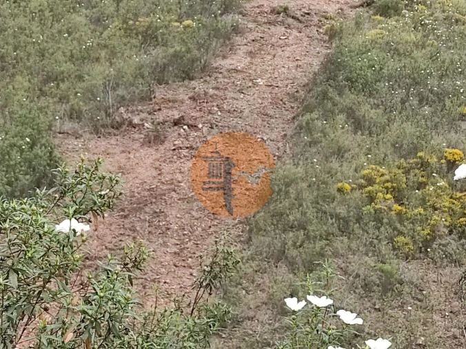 Terreno para Venda em Azinhal Foto 27