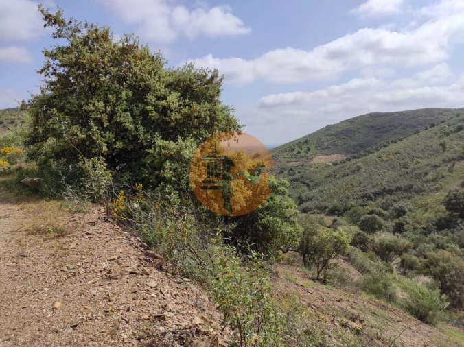Terreno para Venda em Azinhal Foto 28