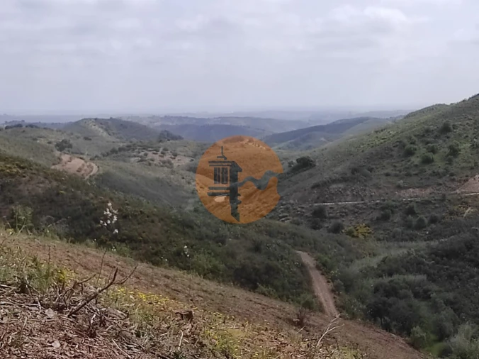 Terreno para Venda em Azinhal Foto 30
