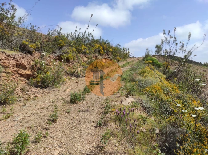 Terreno para Venda em Azinhal Foto 35
