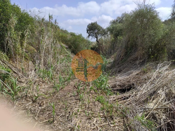 Terreno para Venda em Azinhal Foto 36