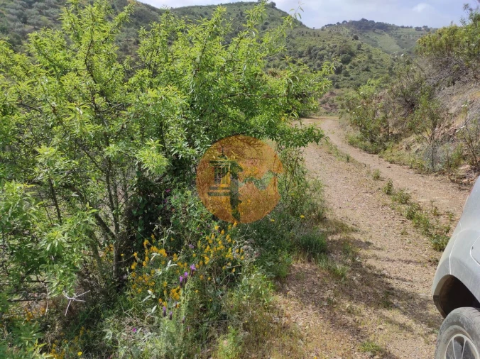 Terreno para Venda em Azinhal Foto 40