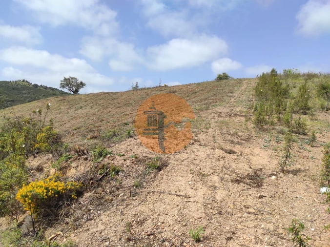 Terreno para Venda em Azinhal Foto 43