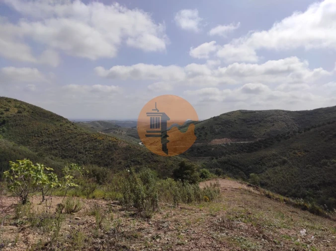 Terreno para Venda em Azinhal Foto 44
