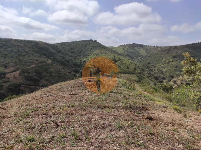 Terreno para Venda em Azinhal Foto 45