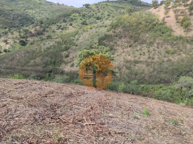 Terreno para Venda em Azinhal Foto 47