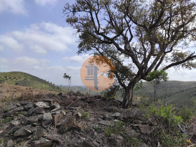 Terreno para Venda em Azinhal Foto 49