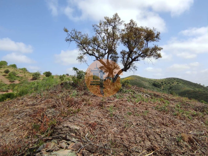 Terreno para Venda em Azinhal Foto 50