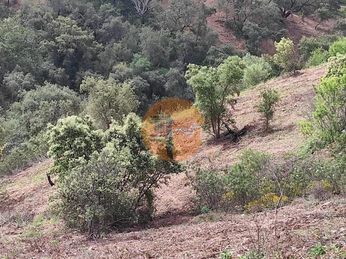 Terreno para Venda em Azinhal Foto 51