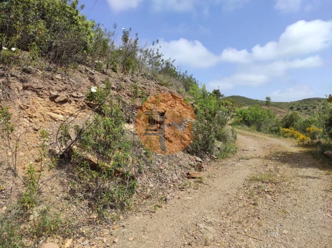 Terreno para Venda em Azinhal Foto 53