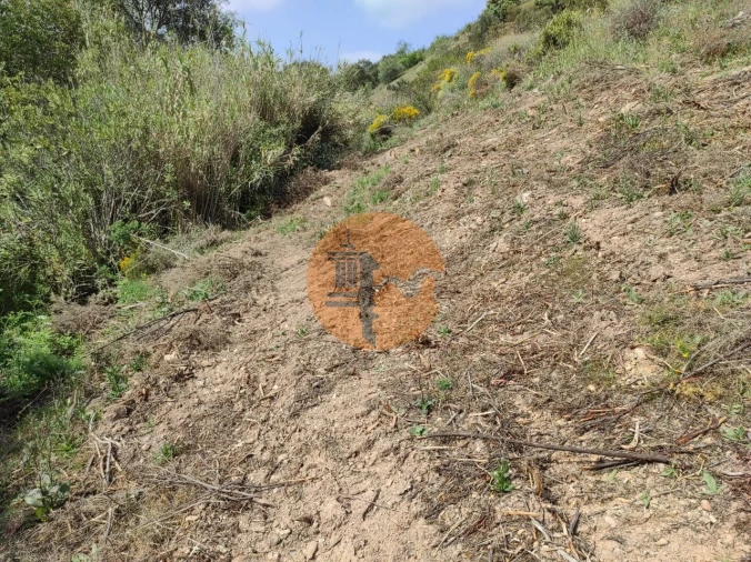 Terreno para Venda em Azinhal Foto 54