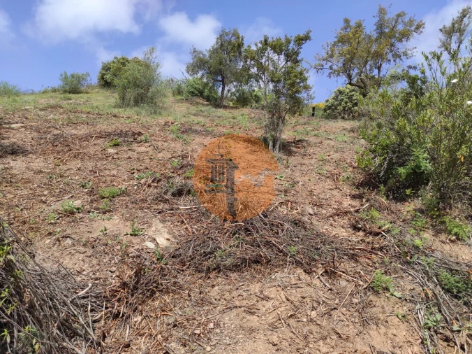Terreno para Venda em Azinhal Foto 55