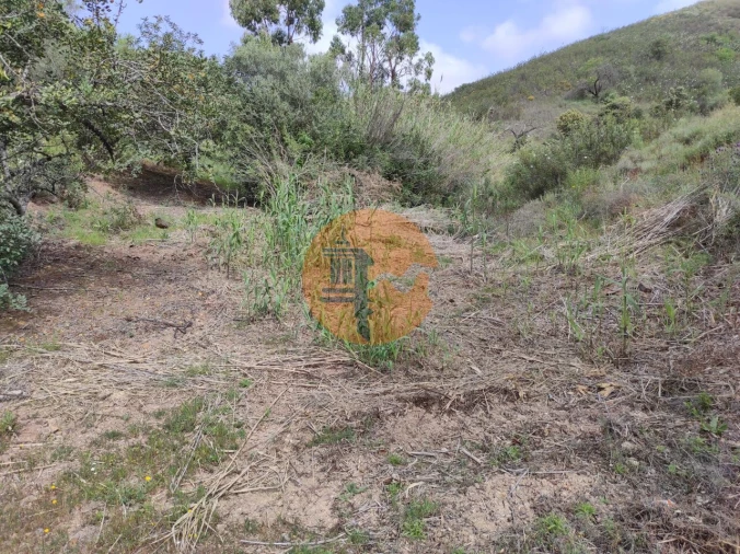 Terreno para Venda em Azinhal Foto 56