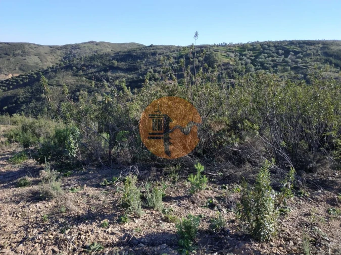 Terreno para Venda em Azinhal Foto 64