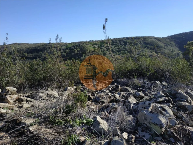 Terreno para Venda em Azinhal Foto 67