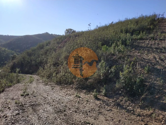 Terreno para Venda em Azinhal Foto 69