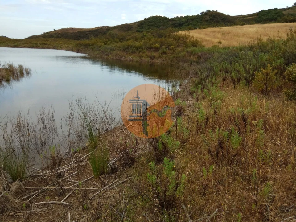 Terreno para Venda em Azinhal Foto 53