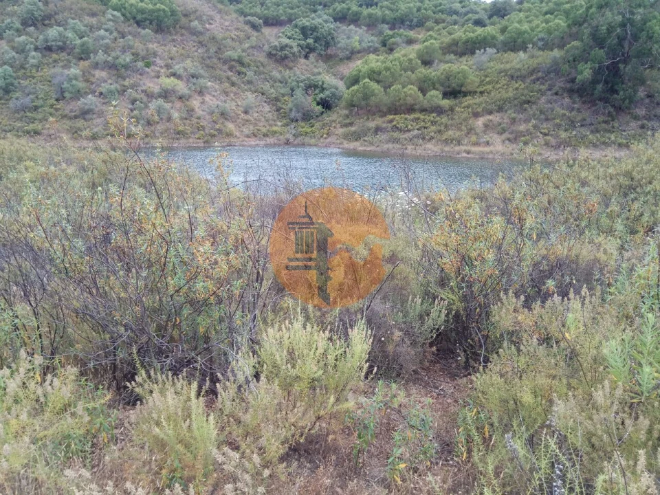 Terreno para Venda em Azinhal Foto 56