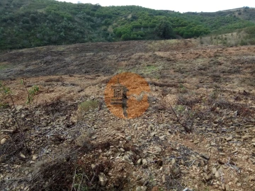 Terreno para Venda em Azinhal