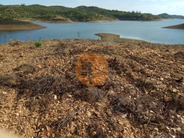 Terreno para Venda em Azinhal