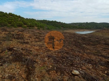 Terreno para Venda em Azinhal