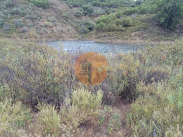 Terreno para Venda em Azinhal