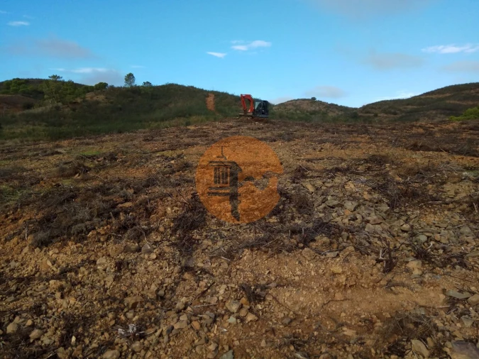 Terreno para Venda em Azinhal Foto 6