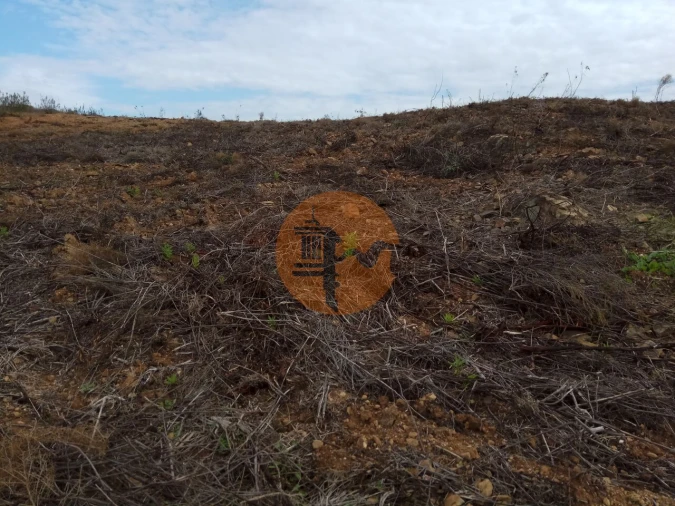 Terreno para Venda em Azinhal Foto 12
