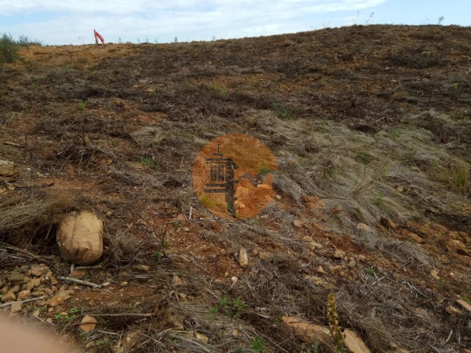 Terreno para Venda em Azinhal Foto 14