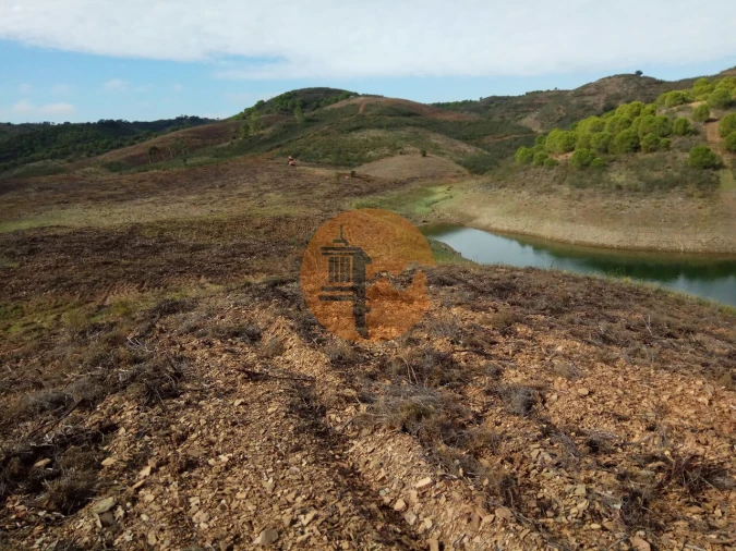 Terreno para Venda em Azinhal Foto 45