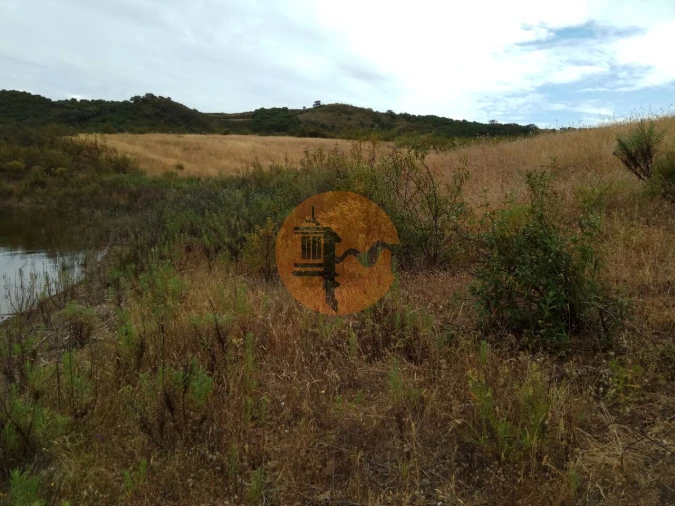 Terreno para Venda em Azinhal Foto 54