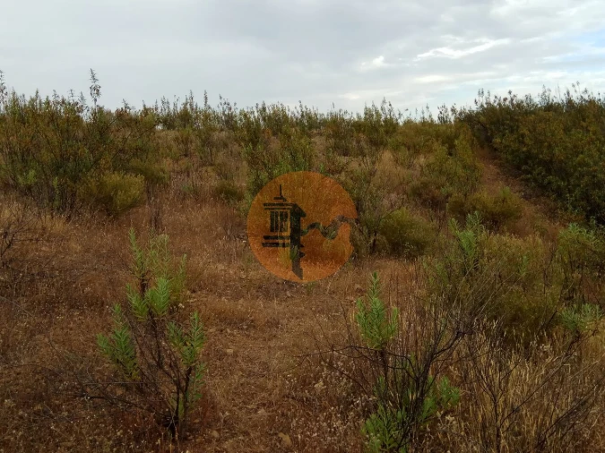 Terreno para Venda em Azinhal Foto 58