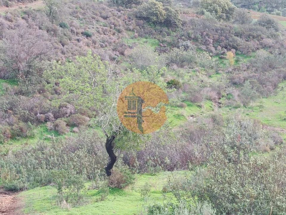 Terreno para Venda em Castro Marim Foto 10