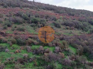 Terreno para Venda em Castro Marim