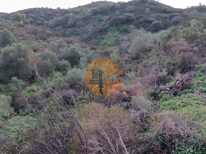 Terreno para Venda em Castro Marim Foto 27