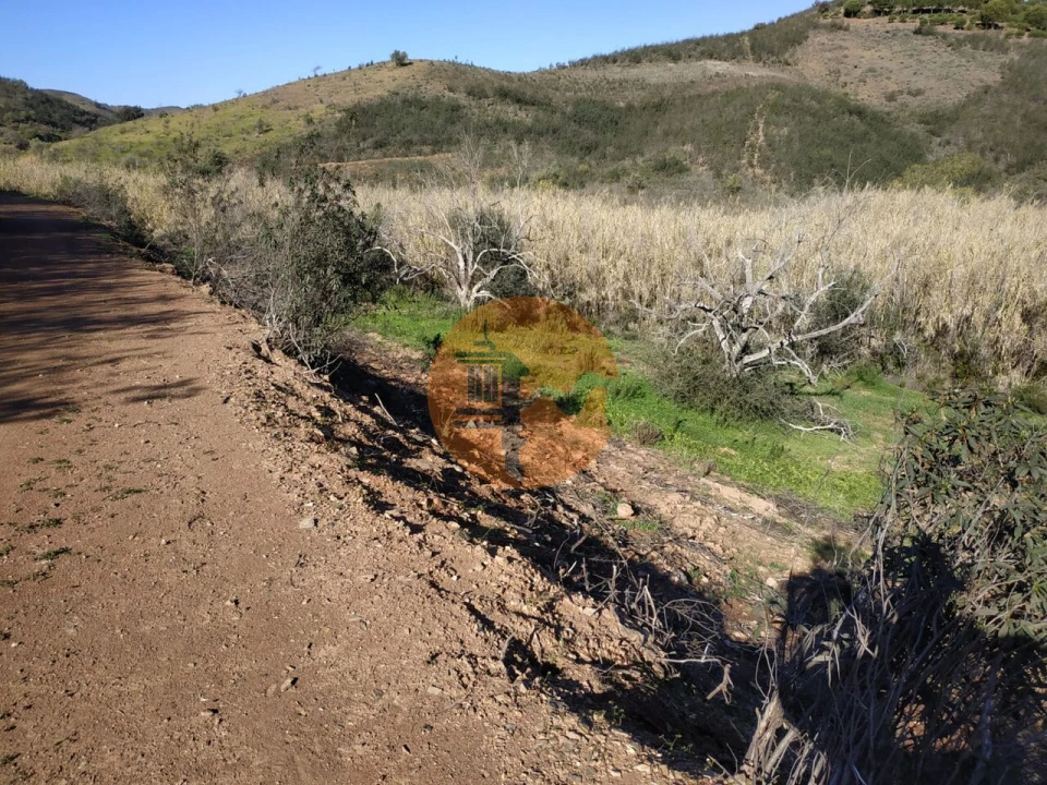 Terreno para Venda em Azinhal Foto 1