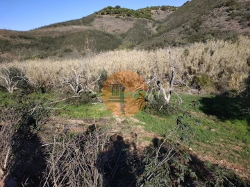 Terreno para Venda em Azinhal