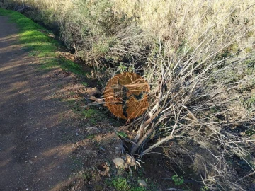 Terreno para Venda em Azinhal