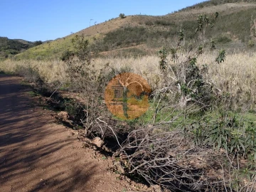 Terreno para Venda em Azinhal