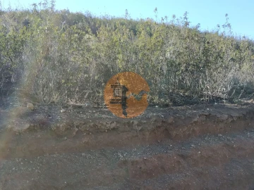 Terreno para Venda em Azinhal