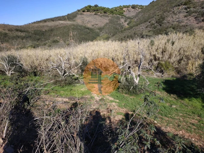 Terreno para Venda em Azinhal Foto 4