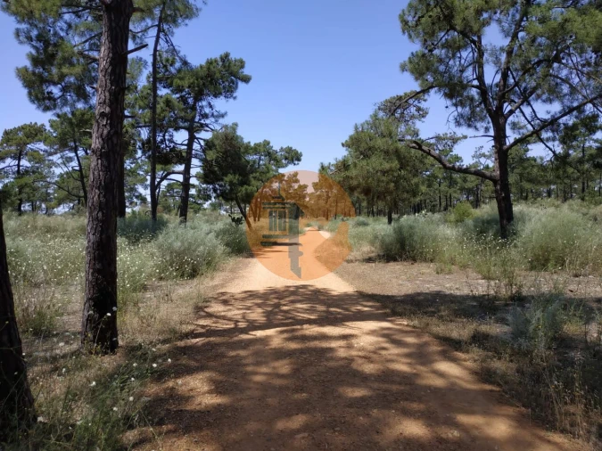 Terreno para Venda em Azinhal Foto 23
