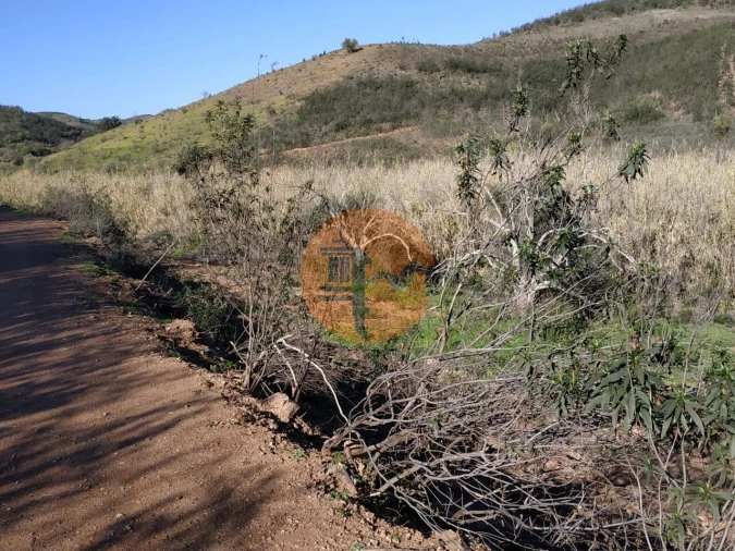 Terreno para Venda em Azinhal Foto 13