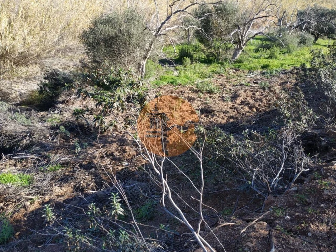 Terreno para Venda em Azinhal Foto 24