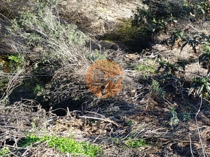 Terreno para Venda em Azinhal Foto 27